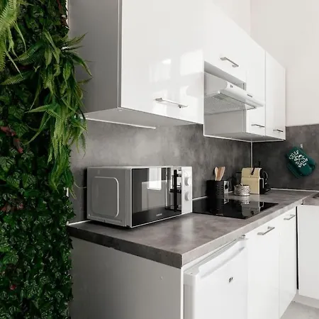 Arbore Et Climatise アパート カルカソンヌ