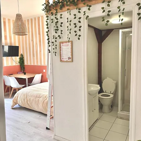 Apartament Studio Sylvestre - Climatise - Entre Gare & Cite