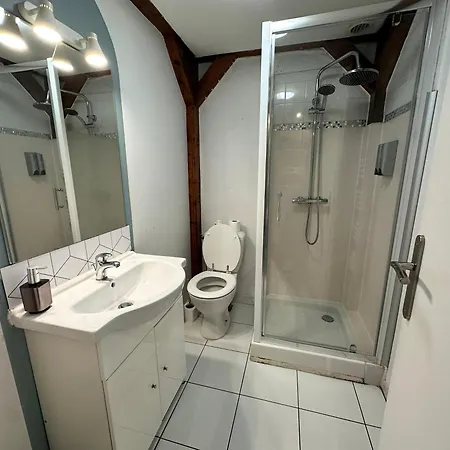Apartament Studio Sylvestre - Climatise - Entre Gare & Cite Carcassonne